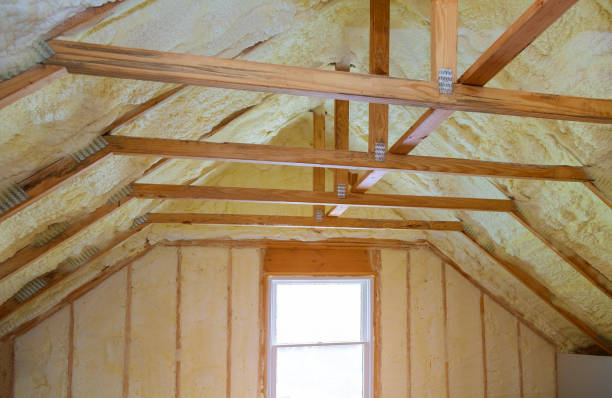 Best Soundproof Insulation Installation  in Woodbine, IA