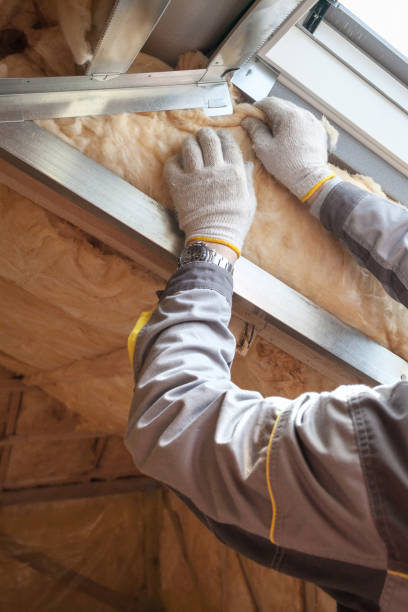 Best Local Insulation Services  in Woodbine, IA